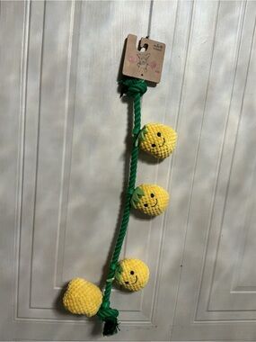 Pally Paws Interactive Rope Toy with Squeakers Fruit Theme Rope Toy for Tug 20”